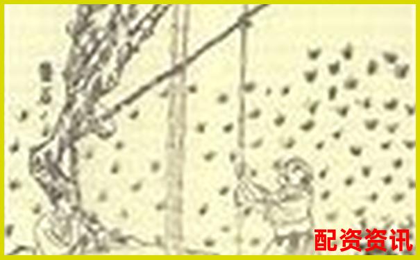 杠桿原理探源 阿基米德撬動物理學(xué)支點的智慧-股票杠桿買跌怎么操作