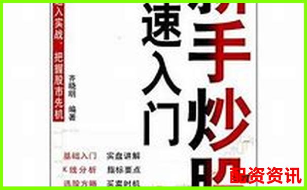 杠桿炒股實戰(zhàn)指南 從入門到精通的操盤技巧-股票配資論壇網站有哪些