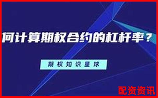 股指期權杠桿倍數(shù)全解析 三大實戰(zhàn)技巧助你高效操作-炒股股票配資網(wǎng)站排名前十