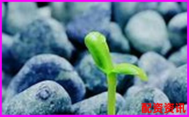 光控資本股票配資利息申請(qǐng)流程全解析