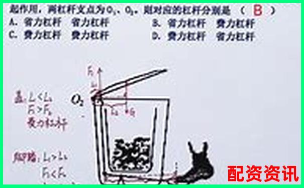 八年級(jí)物理杠桿知識(shí)點(diǎn)全攻略與解題技巧歸納-打開(kāi)澳門網(wǎng)站免費(fèi)資