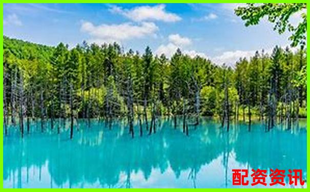 國內配資APP排行榜Top10盤點，實測評分出爐