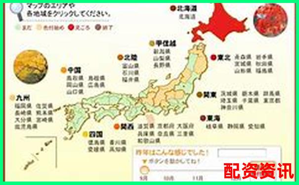 全國十大線上配資平臺(tái)排行榜大起底