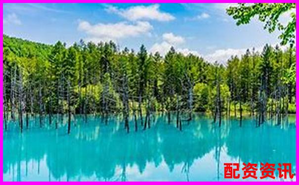 國內(nèi)十大配資平臺排行榜評分表（2025最新版）-湯臣倍健股票最新消息