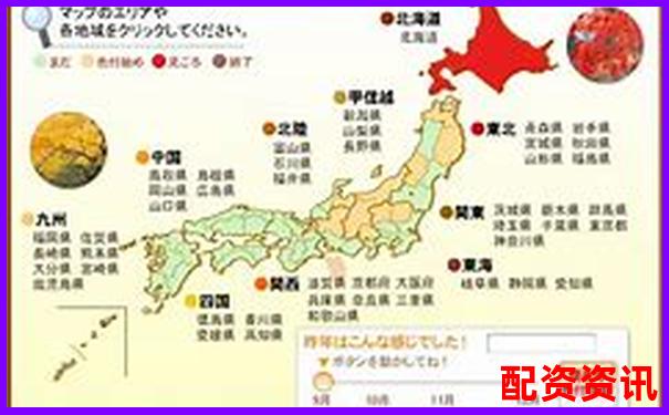 全國十大配資公司排行榜，哪家更適合小額用戶？-2024年業(yè)績預(yù)增10倍以上的股票